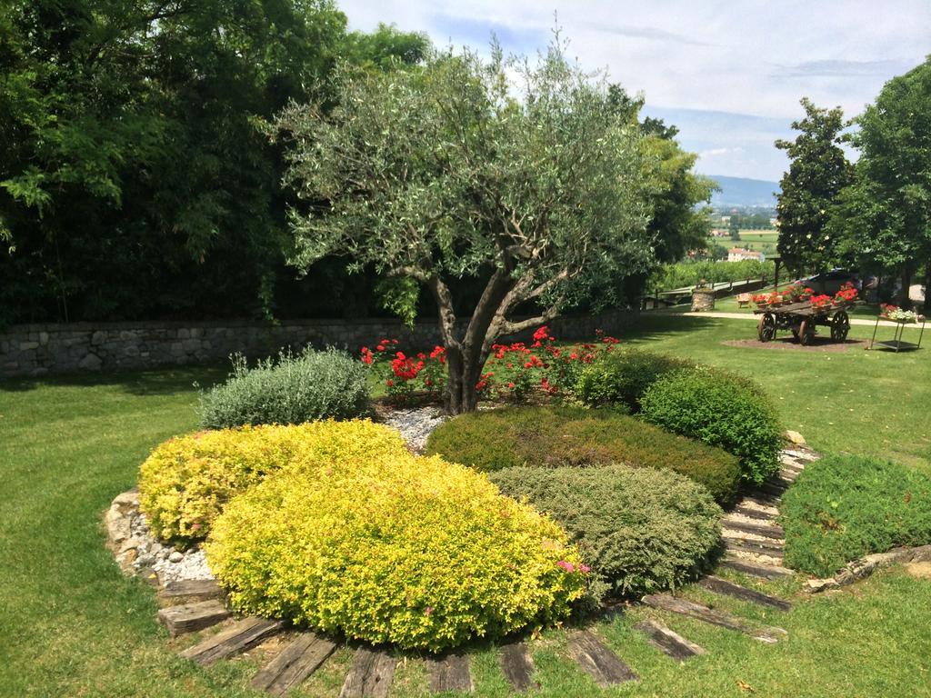 Agriturismo Al Colle Del Ciliegio Villa Rovolon Exterior photo